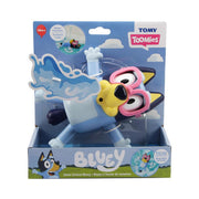 Swim School Bluey