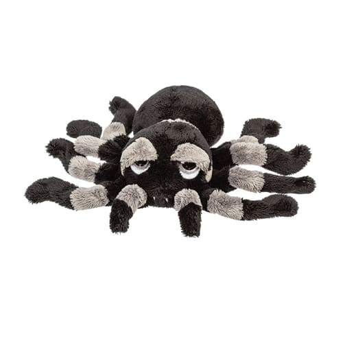 Tarantula - Jumbo Sid