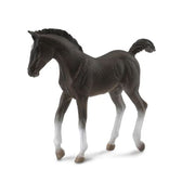 Tennessee Walking Horse Foal Black