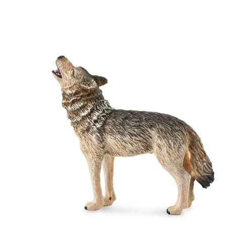 Timber Wolf Howling