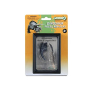 Tooth & Finger Claw of Allosaurus Box Set