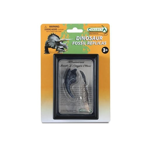 Tooth & Finger Claw of Allosaurus Box Set