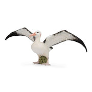 Wandering Albatross