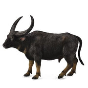 Wild Water Buffalo