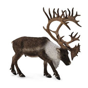 Woodland Caribou