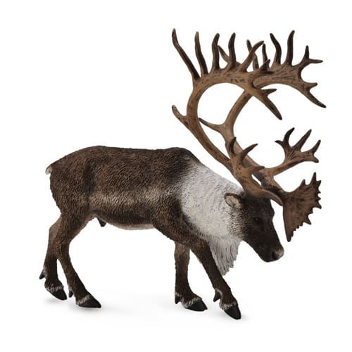 Woodland Caribou