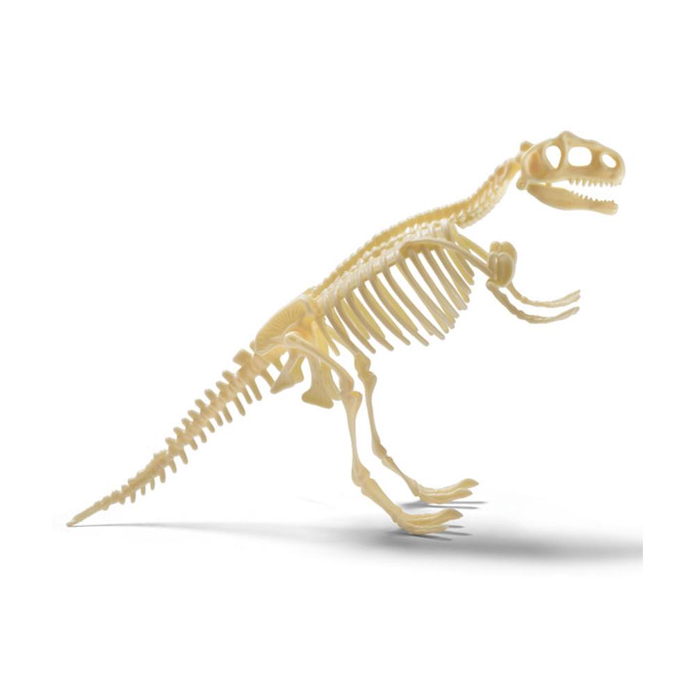 T.Rex Excavation Kit_2