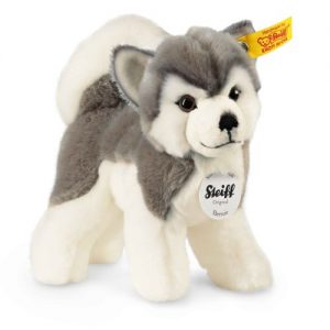 Bernie Husky, Grey/White