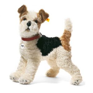 Foxy Fox Terrier, White/Brown/Black