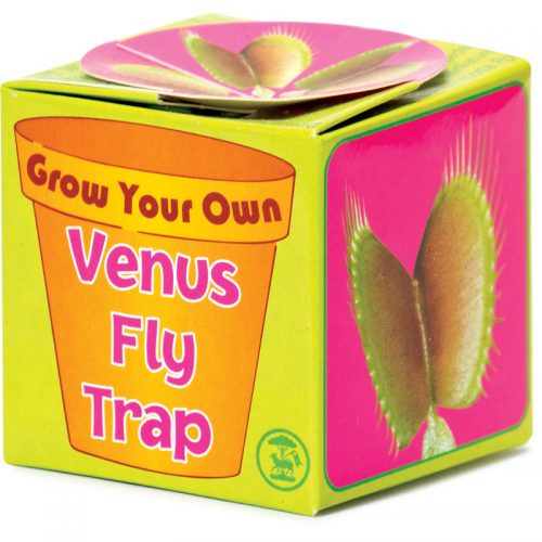 GROW YOUR OWN VENUS FLY TRAP
