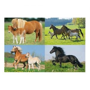 Horses Four Jigsaws In A Keepsake Tin (2X26Pc/2X48Pc)