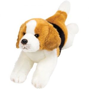 Beagle Medium