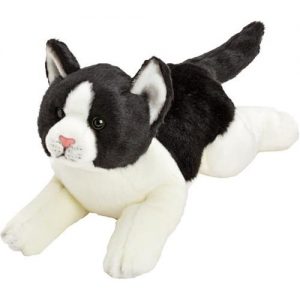 Resting Black & White Cat