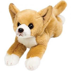 Resting Chihuahua