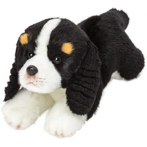 Resting King Charles Spaniel