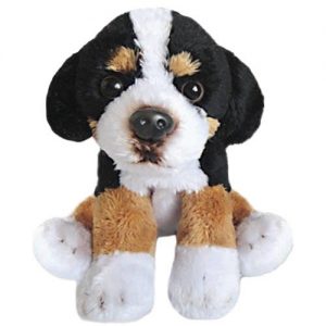 Sitting Bernese Mountain Dog
