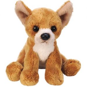 Sitting Chihuahua