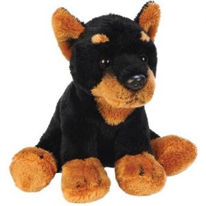 Sitting Doberman