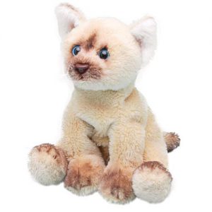 Sitting Himalayan Cat