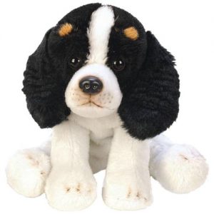 Sitting King Charles Spaniel
