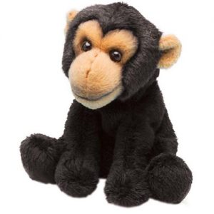 Sitting Monkey