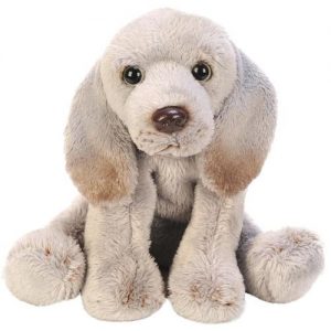 Sitting Weimaraner