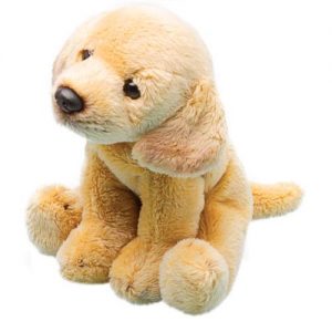 Sitting Yellow Labrador
