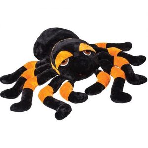 Spindra Tarantula (Large)
