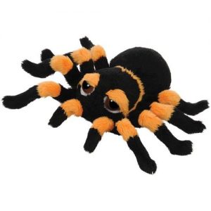 Spindra Tarantula (Small)