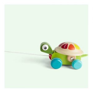 Zigolos Pull Along Turtle