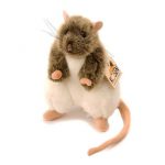Rodents