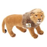 Wild Animals