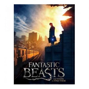 Fantastic Beasts: New York 2D Poster Puzzle (500pc)
