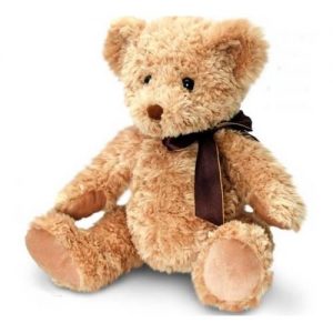 Sherwood Bear 25Cm