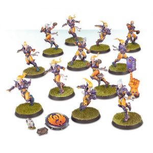 The Elfheim Eagles Blood Bowl Team