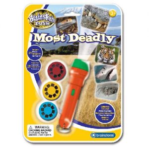 Most Deadly Torch and Projector