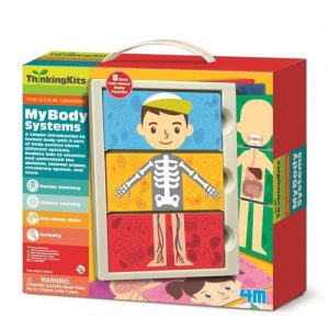 4M Thinking Kits - My Body Systems