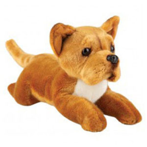 30Cm Lying Staffords Terrier