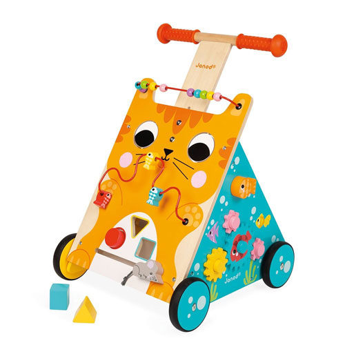 Multi-Activities Cat Baby Walker