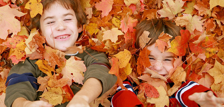 Children Playing In Autumn Leaves