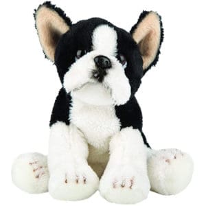 Boston Terrier Small Sitting