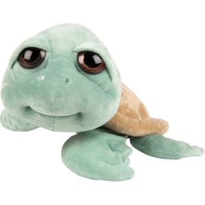 Large Caspian Turtle