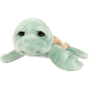 Medium Caspian Turtle