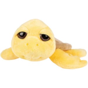 Medium Neptune Turtle