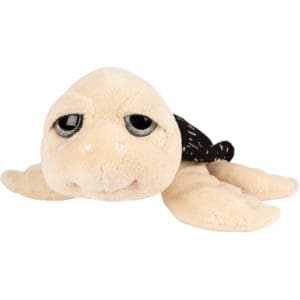 Medium Nico Turtle