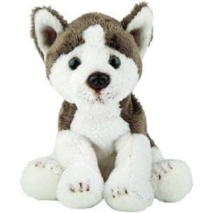 Siberian Husky Small Sitting