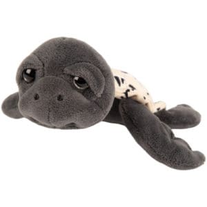 Small Cory Turtle