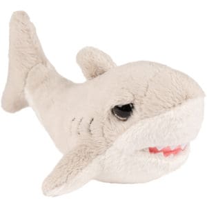 Small Flossy Shark