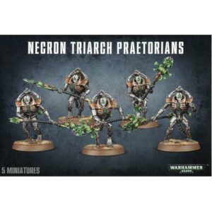 *A Grade* Necron Triarch Praetorians