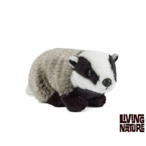 *A Grade* Badger Large